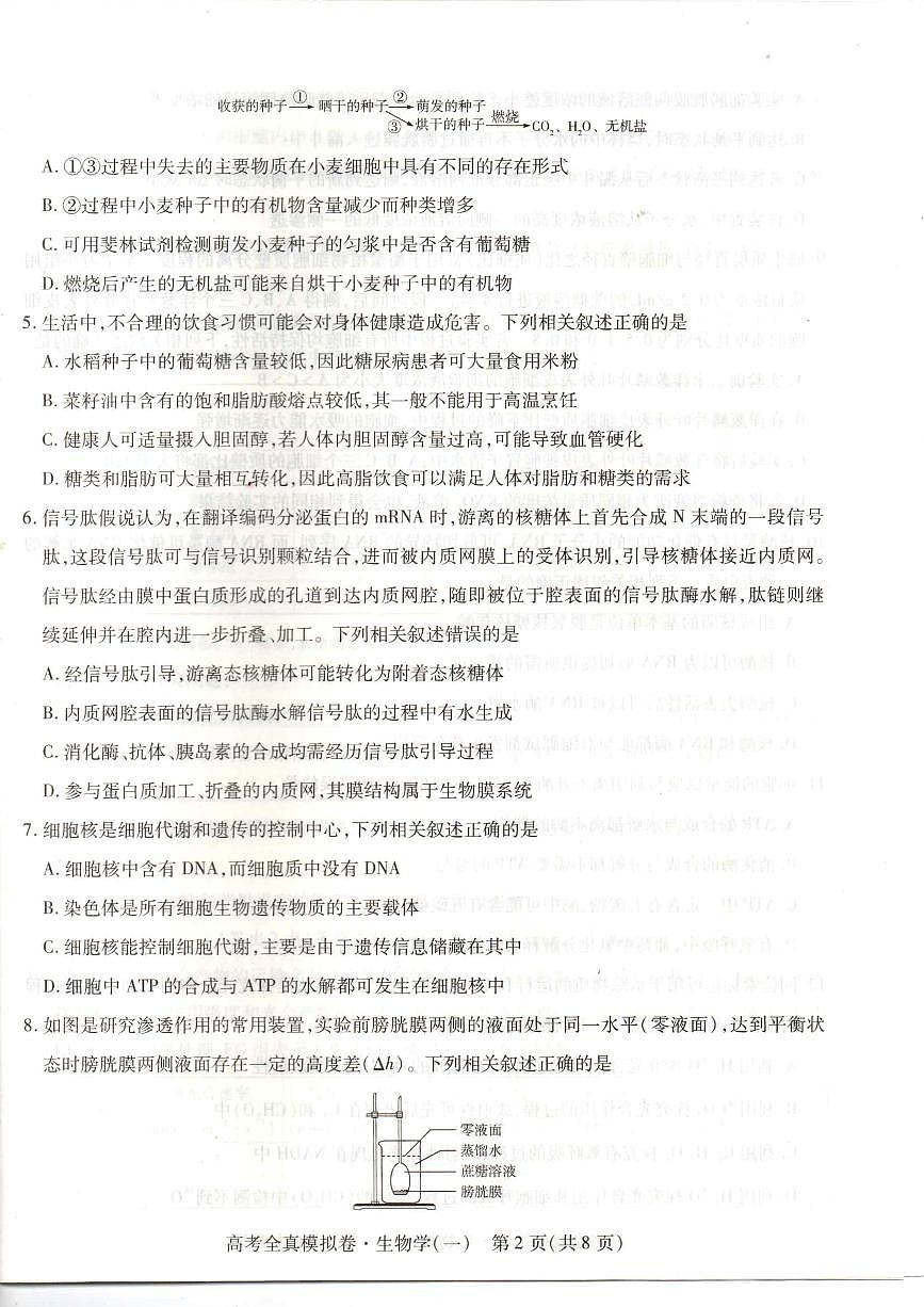 2024届海南省高三全真模拟卷（一）-生物试题（含答案）第2页