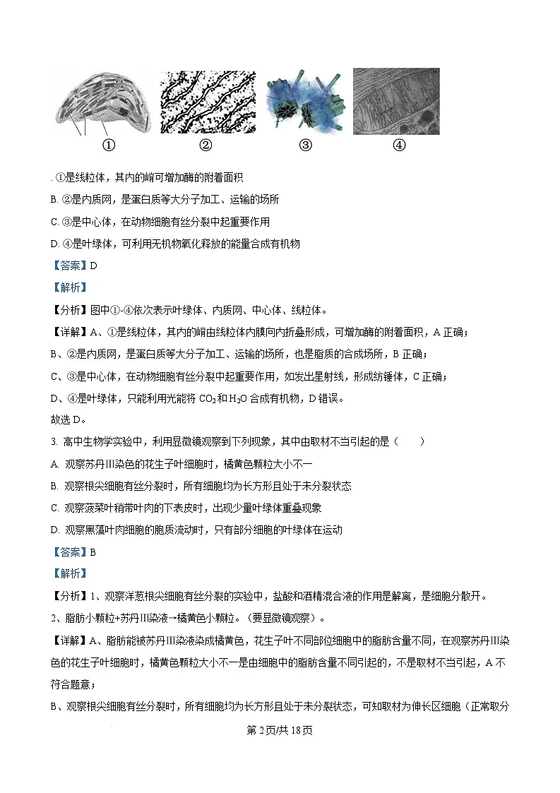 福建省厦门市2024-2025学年高一上学期1月期末生物试题 版含解析第2页