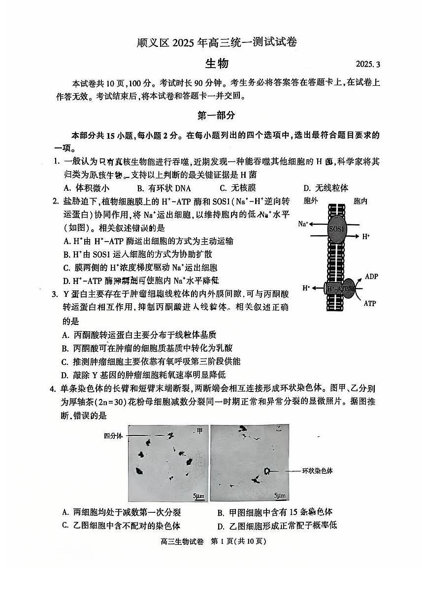 2025届北京市顺义区高三一模统一测试 生物试题及答案第1页