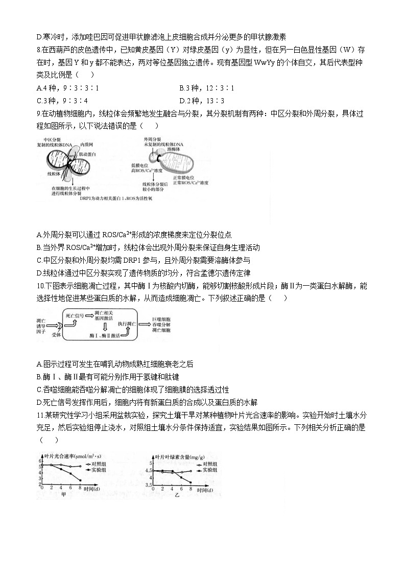 2025届福建省龙岩市一级校联盟高三11月期中考-生物试题（含答案）第3页