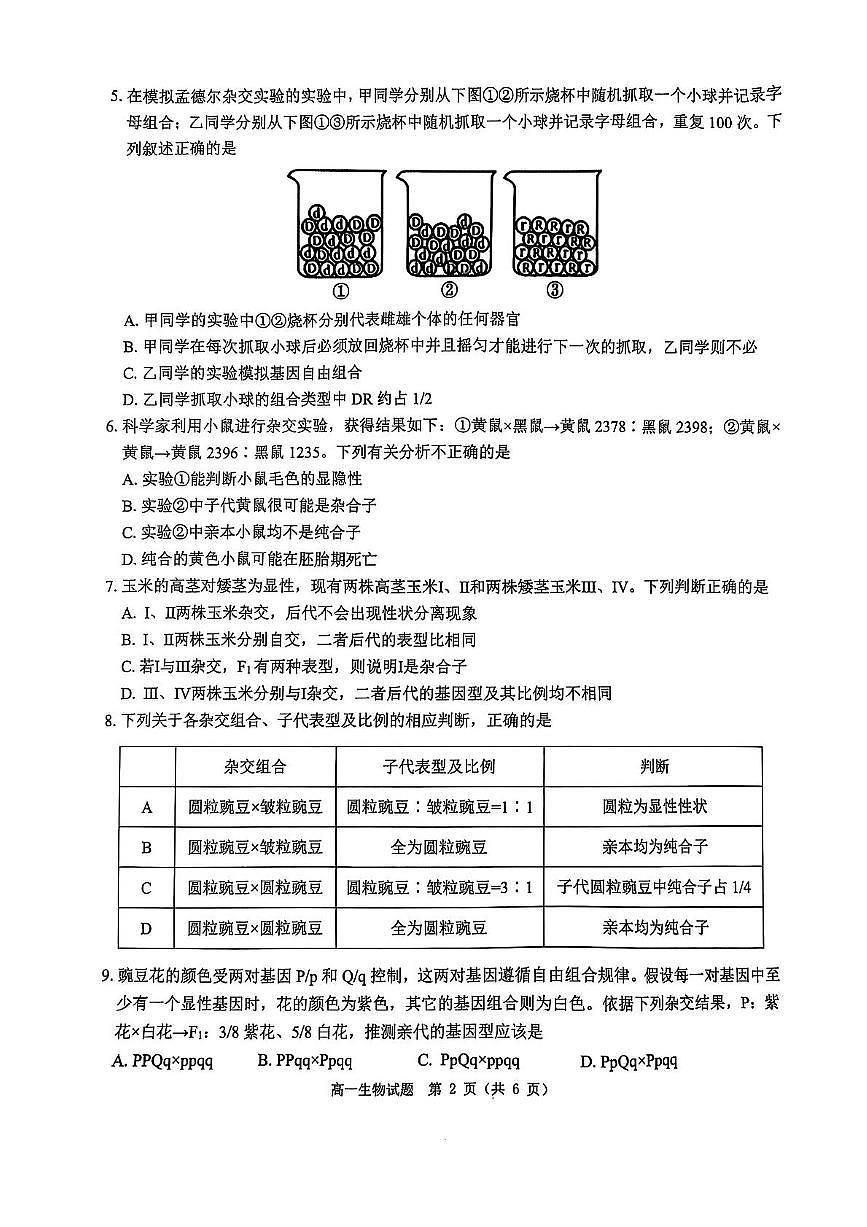 河南省驻马店市环际大联考2024-2025学年高一下学期3月阶段考试（一）生物试卷（PDF版附解析）第2页