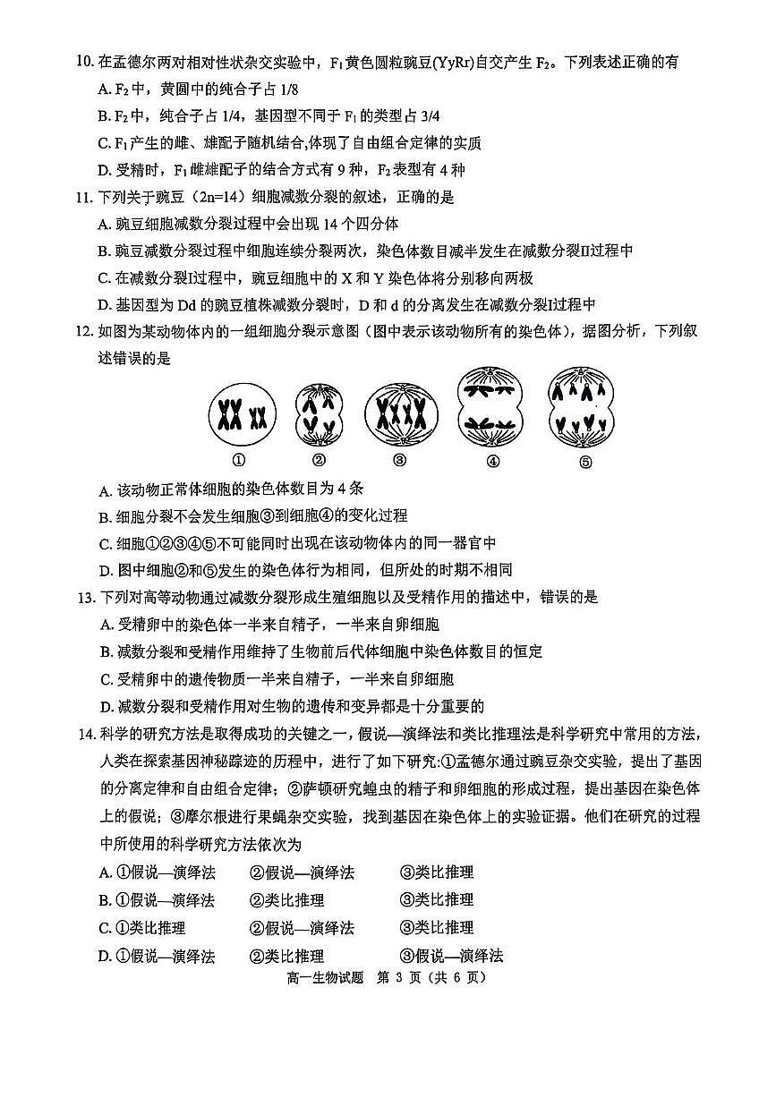 河南省驻马店市环际大联考2024-2025学年高一下学期3月阶段考试（一）生物试卷（PDF版附解析）第3页
