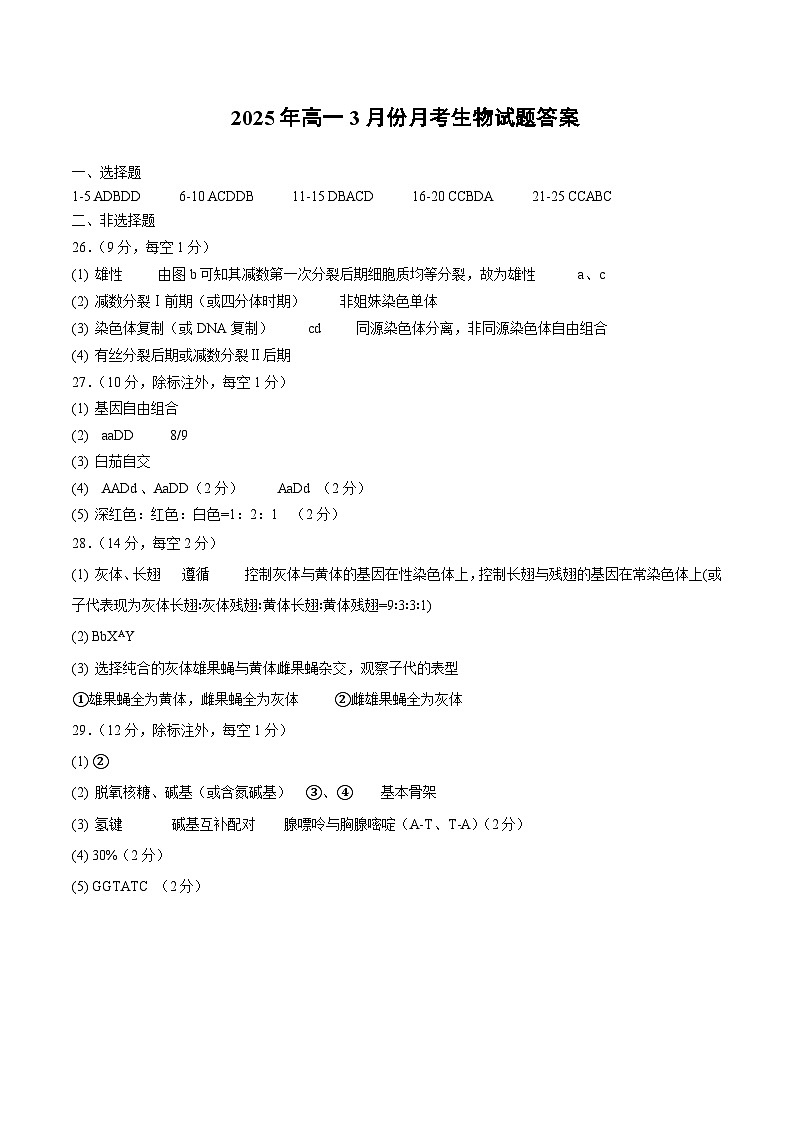 山东省济宁市第一中学2024-2025学年高一下学期3月月考生物答案第1页