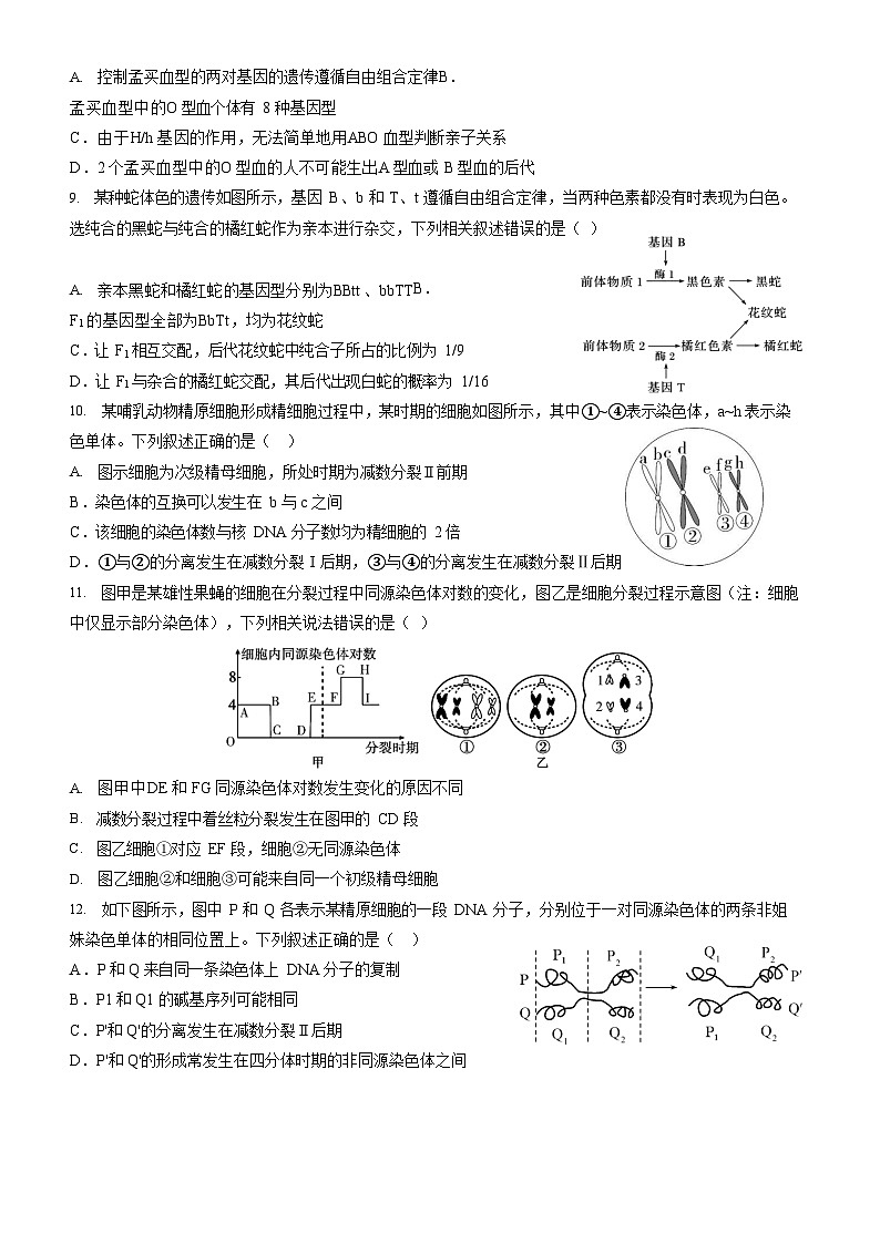 山东省济宁市第一中学2024-2025学年高一下学期3月月考生物试题第3页