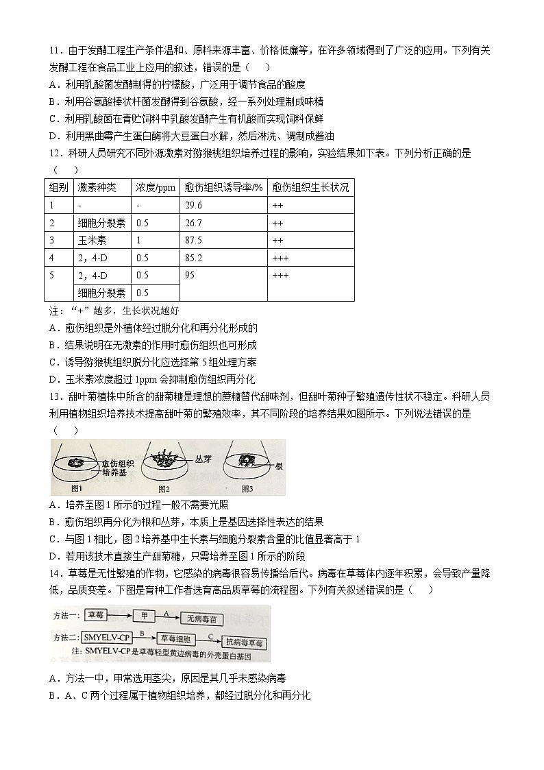 山东省日照市五莲县第一中学2024-2025学年高二下学期3月月考生物试卷（Word版附答案）第3页