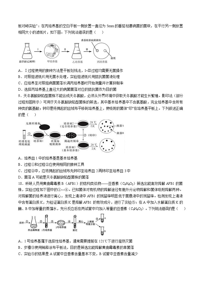 山东师范大学附属中学2024-2025学年高二下学期3月阶段检测生物试卷（Word版附答案）第3页