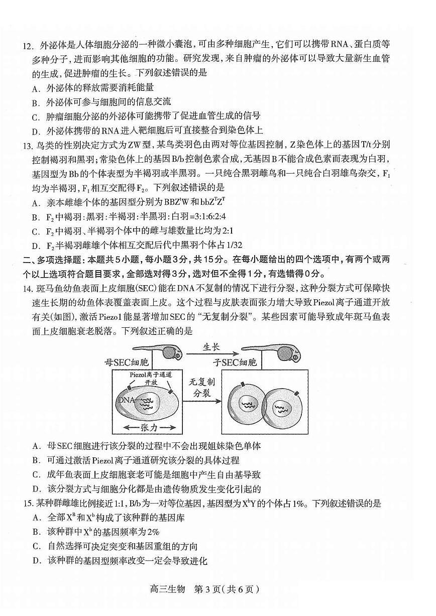 2025届河北省石家庄市普通高中毕业年级教学质量检测（一）生物试卷（含答案）第3页