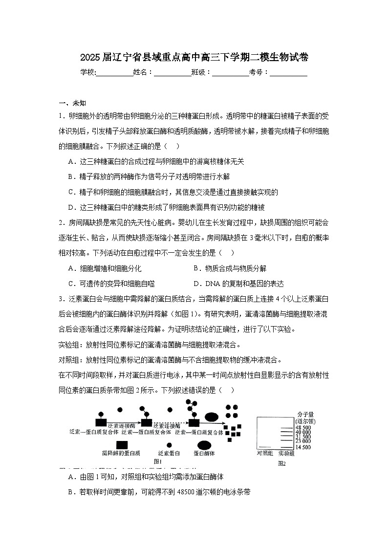 2025届辽宁省县域重点高中高三下学期二模生物试卷（无答案）第1页