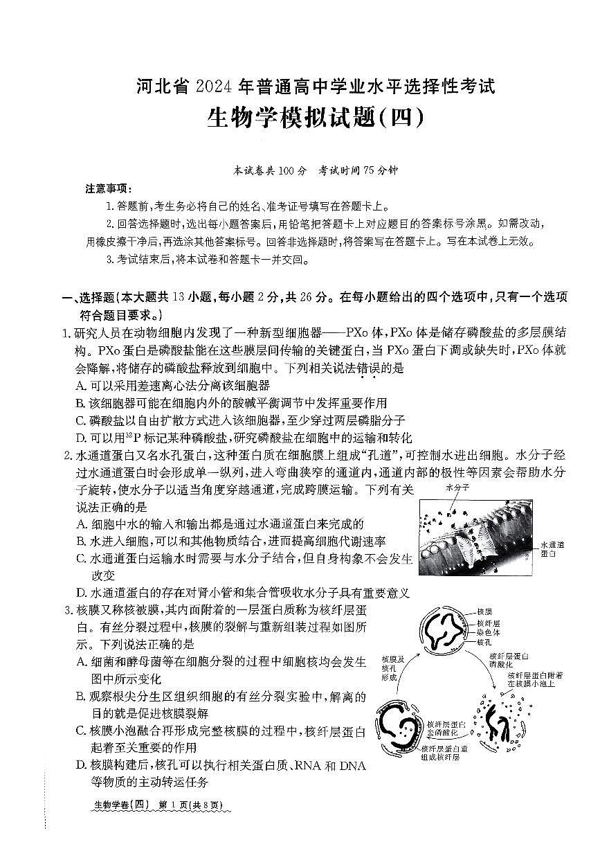 2024河北省高三下学期学业水平模拟（四）-生物试卷（含答案）第1页