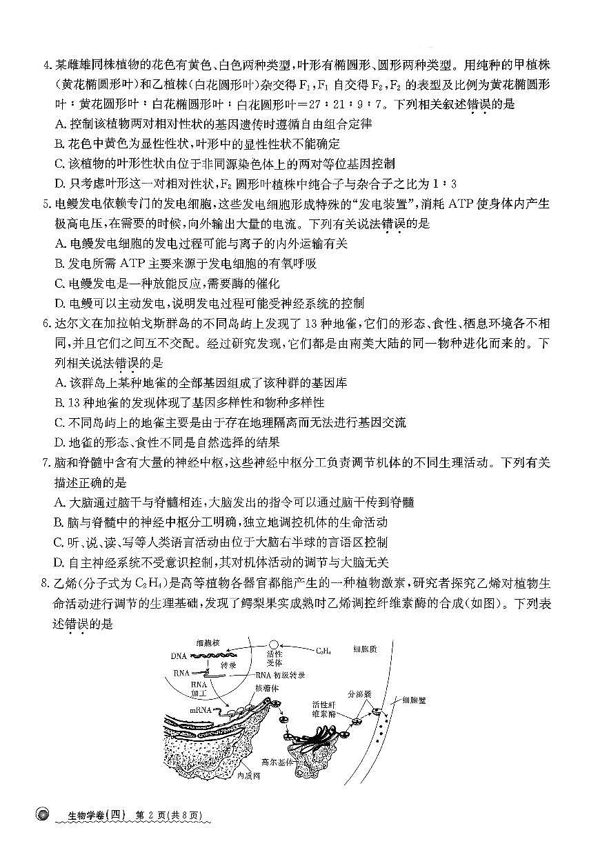 2024河北省高三下学期学业水平模拟（四）-生物试卷（含答案）第2页