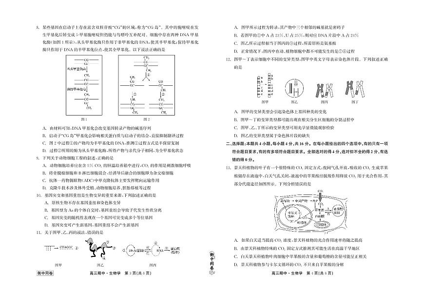 2024届河北衡中同卷上学期高三年级期中考试（12月）-生物试题（含答案）第1页
