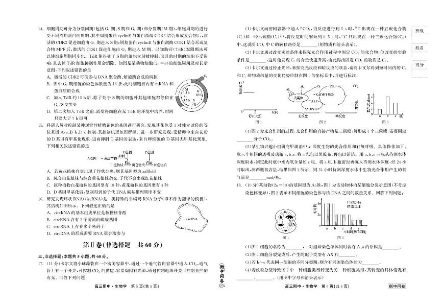 2024届河北衡中同卷上学期高三年级期中考试（12月）-生物试题（含答案）第2页