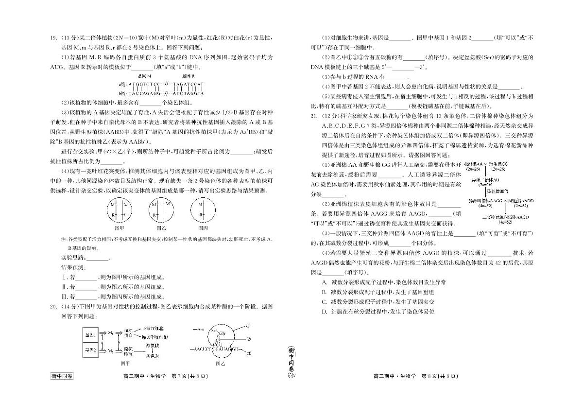 2024届河北衡中同卷上学期高三年级期中考试（12月）-生物试题（含答案）第3页