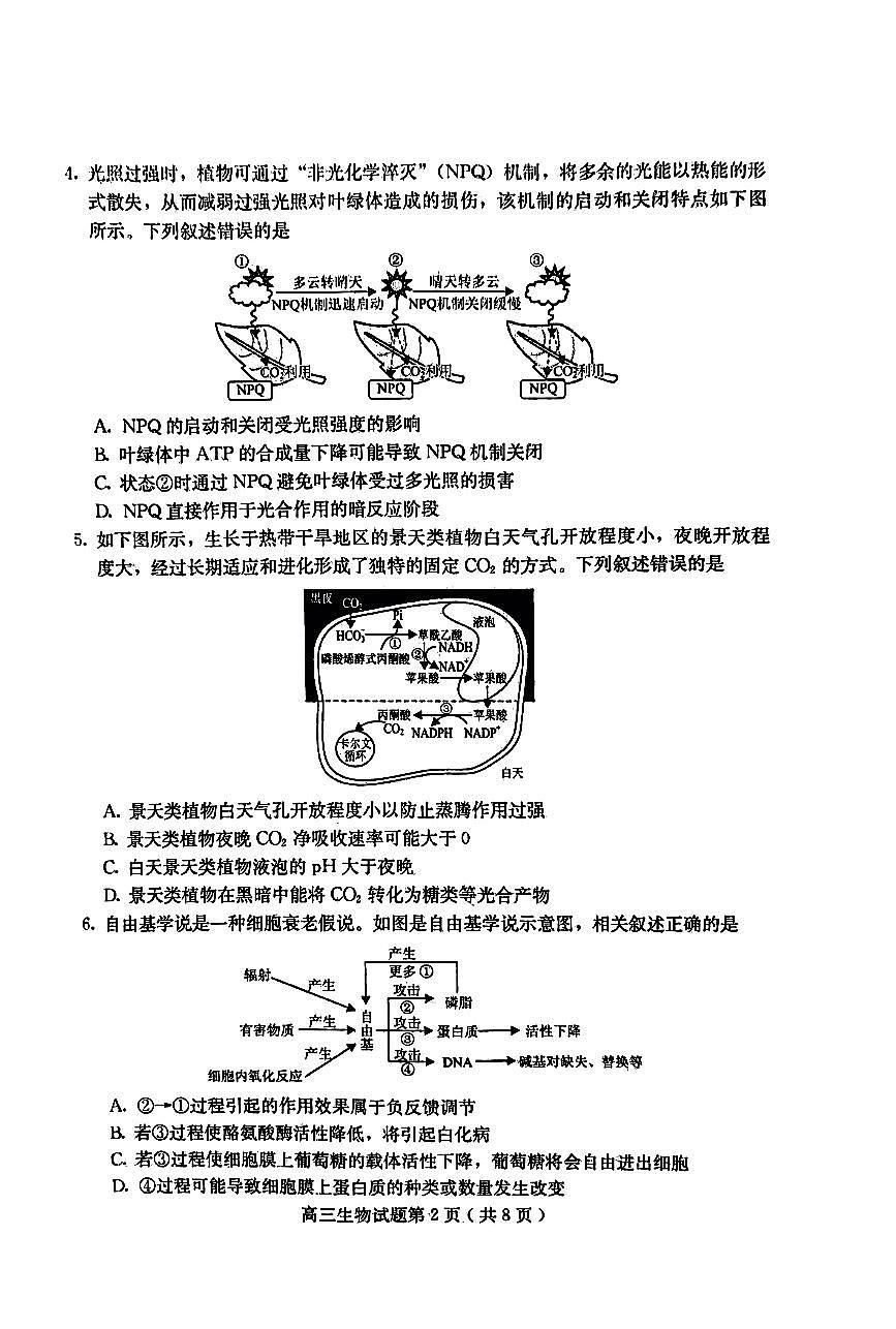 2024届河北省保定市高三上学期 期中考试（10月）-生物试题（含答案）第2页