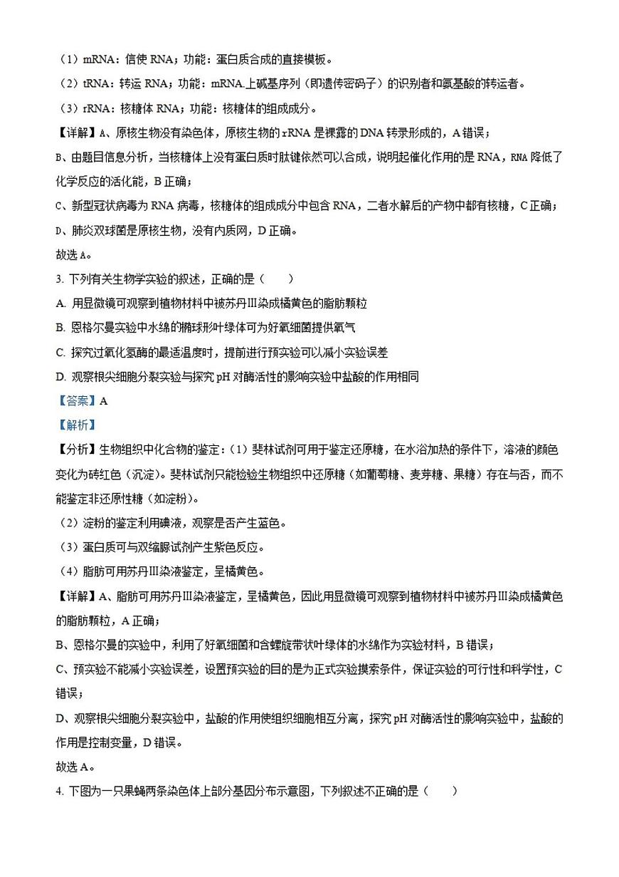 2024届河北省保定市唐县第一中学高三上学期9月月考-生物试题（含答案）第2页