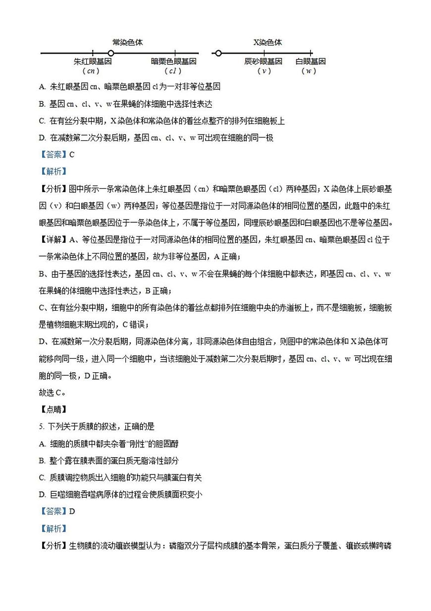 2024届河北省保定市唐县第一中学高三上学期9月月考-生物试题（含答案）第3页