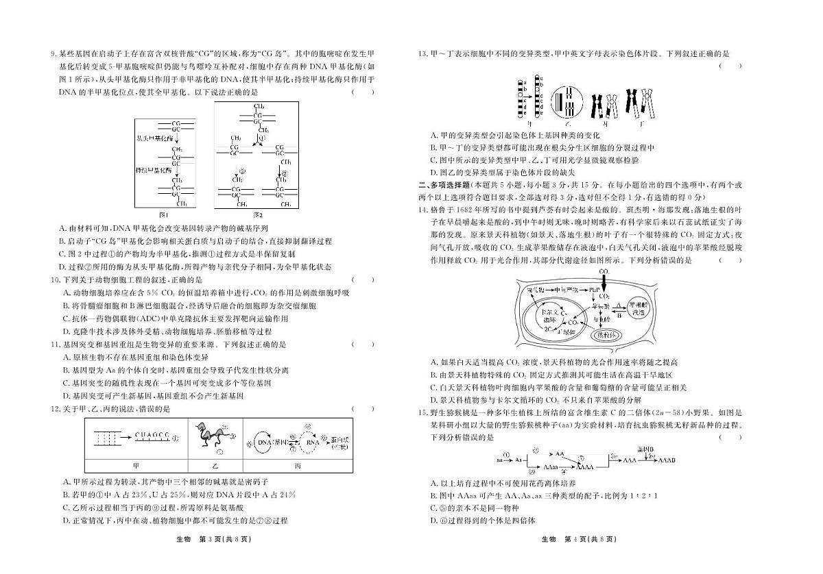 2024届河北省承德市部分高三上学期12月期中考试-生物试题（含答案）第2页