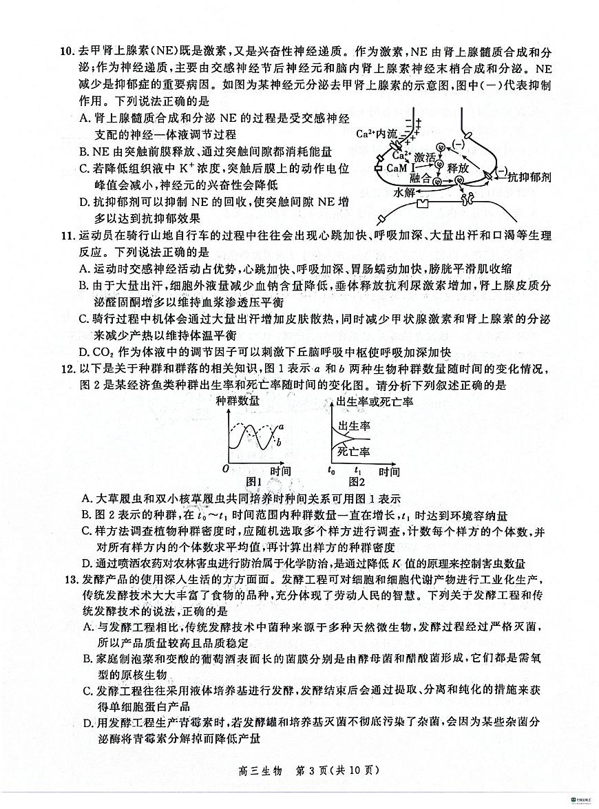 2024届河北省大数据应用调研联测高三下学期2月月考-生物试题（含答案）第3页