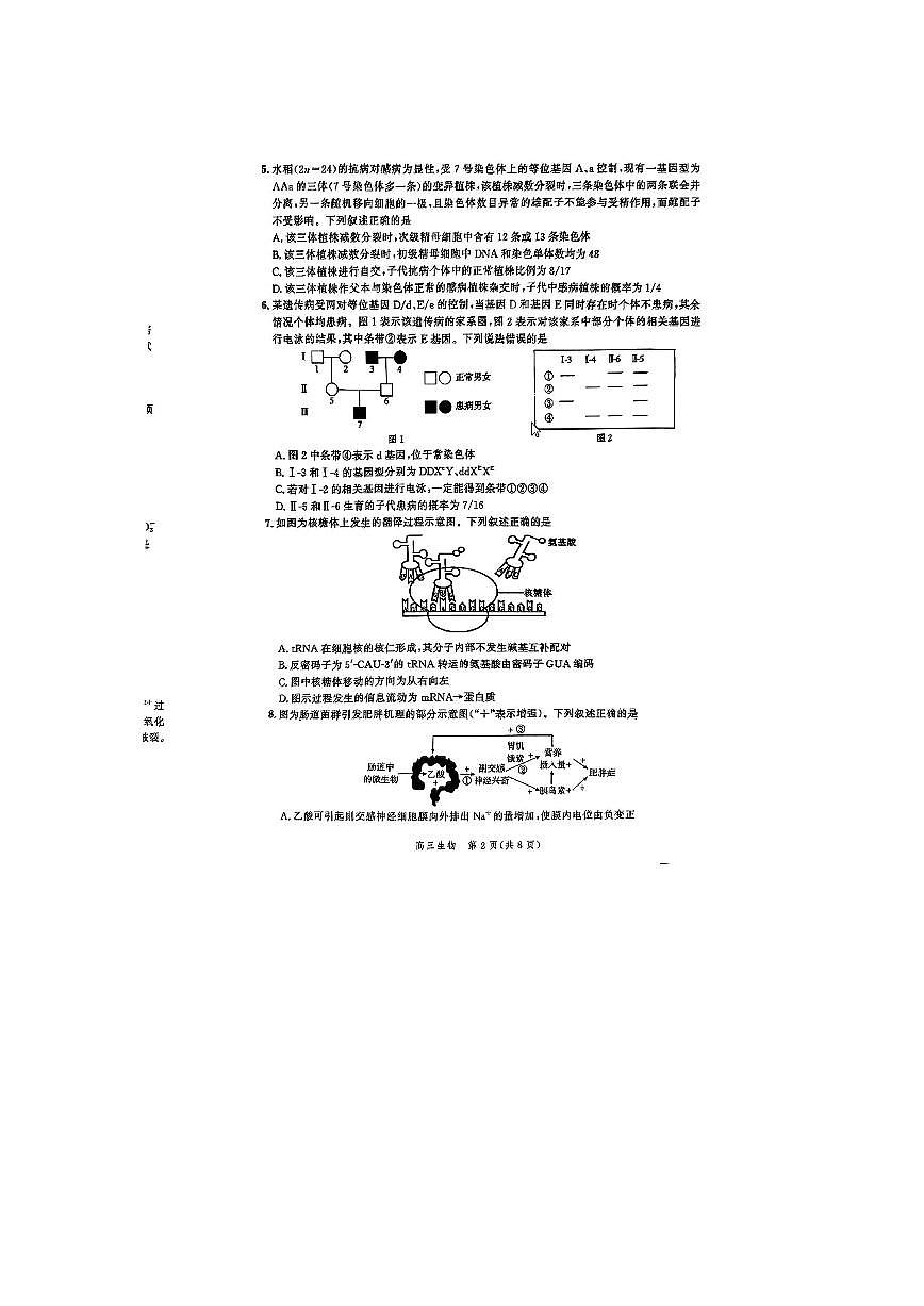 2024届河北省高三大数据应用调研联合测评（Ⅷ）-生物试卷（含答案）第2页