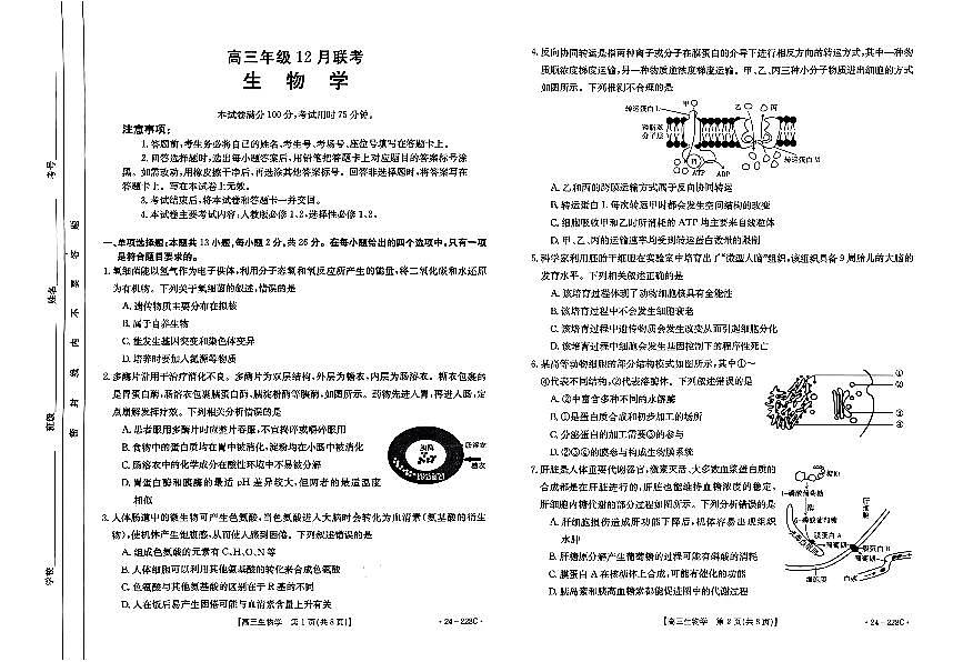 2024届河北省高三上学期(12月考)-生物试题（含答案）第1页