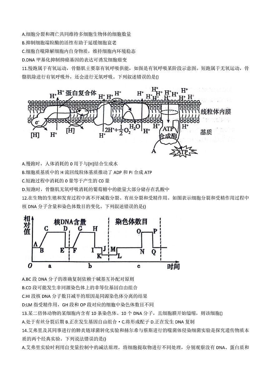 2024届河北省衡水市冀州中学高三上学期期中考试(12月考)-生物试题（含答案）第3页