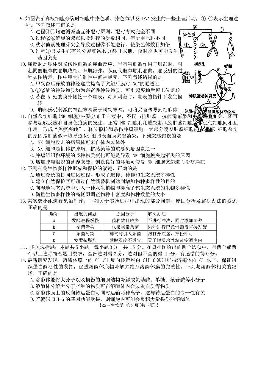 2024届河北省联考高三上学期1月质量检测(2月)-生物试题（含答案）第3页
