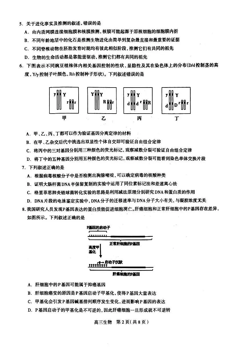 2024届河北省石家庄市高三上学期摸底质量检测（11月）-生物试题（含答案）第2页