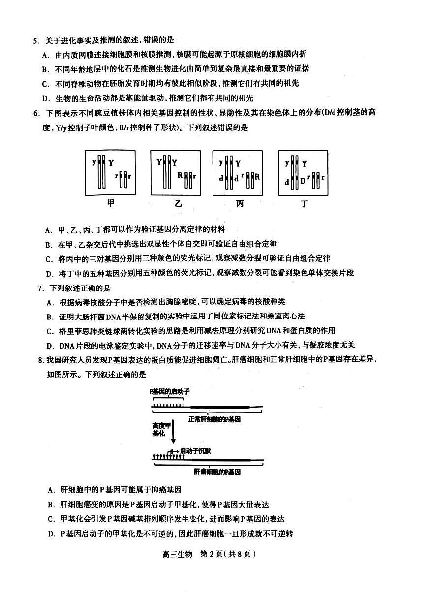 2024届河北省石家庄市高三上学期摸底质量检测（11月）-生物试题（含答案）第2页