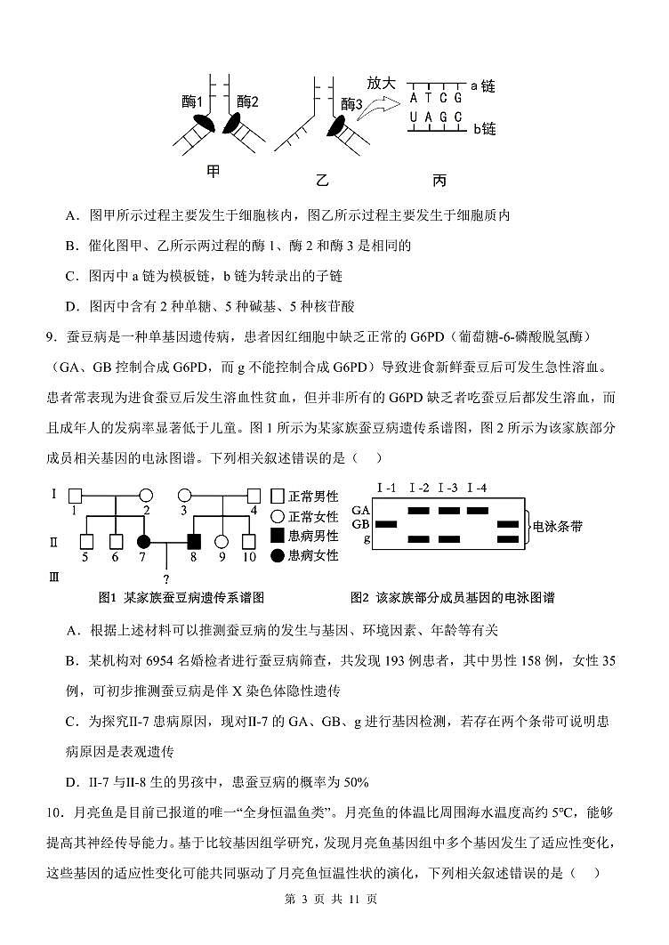 2024届河北省唐县第一中学高三上学期10月月考试卷-生物试题（含答案）第3页