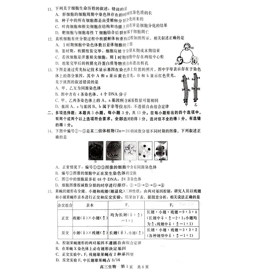 2024届河北省新时代高三上学期12月阶段测试-生物试题（含答案）第3页