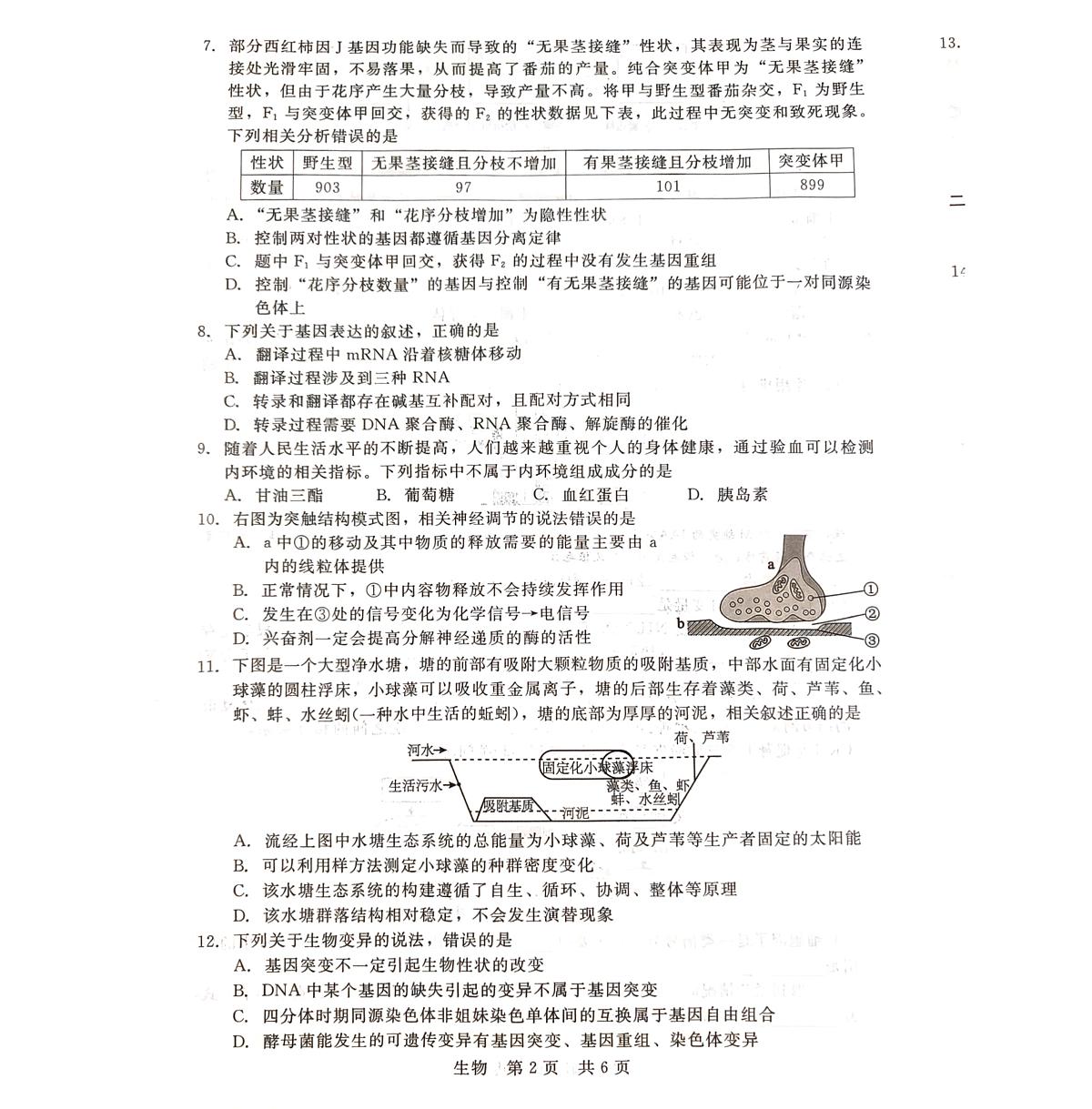 2024届河北省新时代教育高三上学期开学考试-生物试题（含答案）第2页