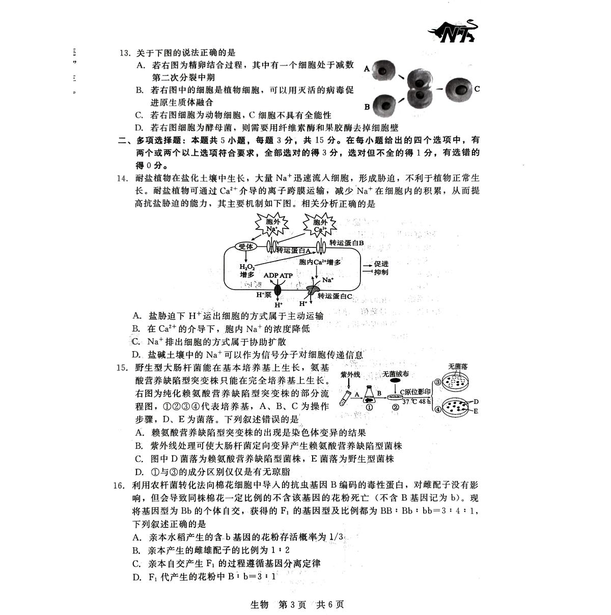 2024届河北省新时代教育高三上学期开学考试-生物试题（含答案）第3页