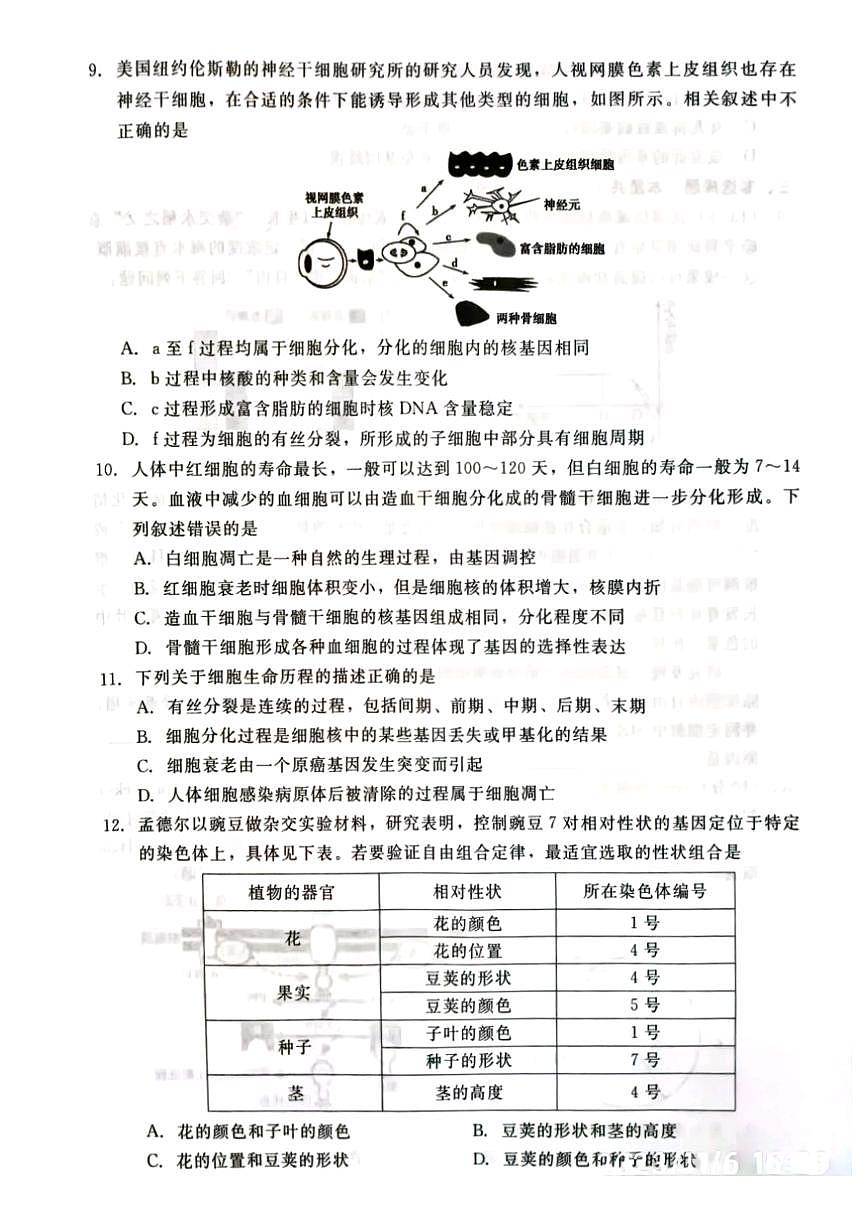 2024届河北省张家口市高三上学期11月月考试卷-生物试题（含答案）第3页