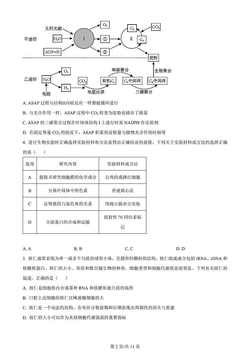 2024届河北省张家口市张垣联盟高三上学期月考试题（11月）-生物试题（含答案）第2页