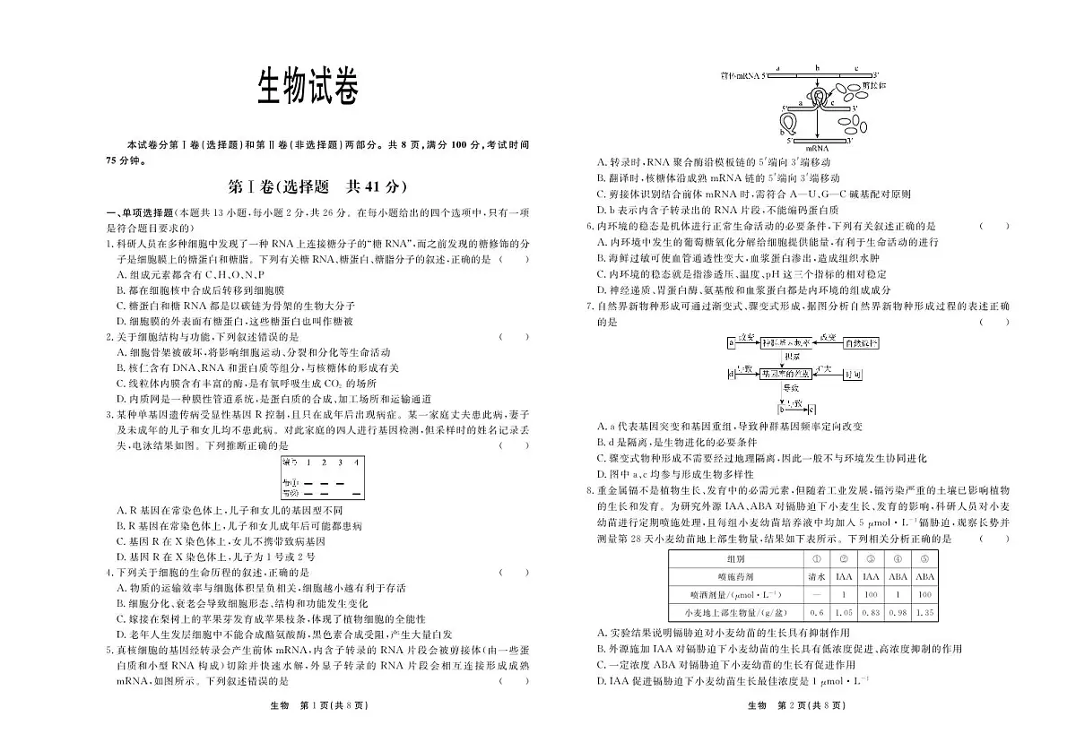 河北省衡水同卷2024届高三下学期一模考-生物试卷（含答案）第1页
