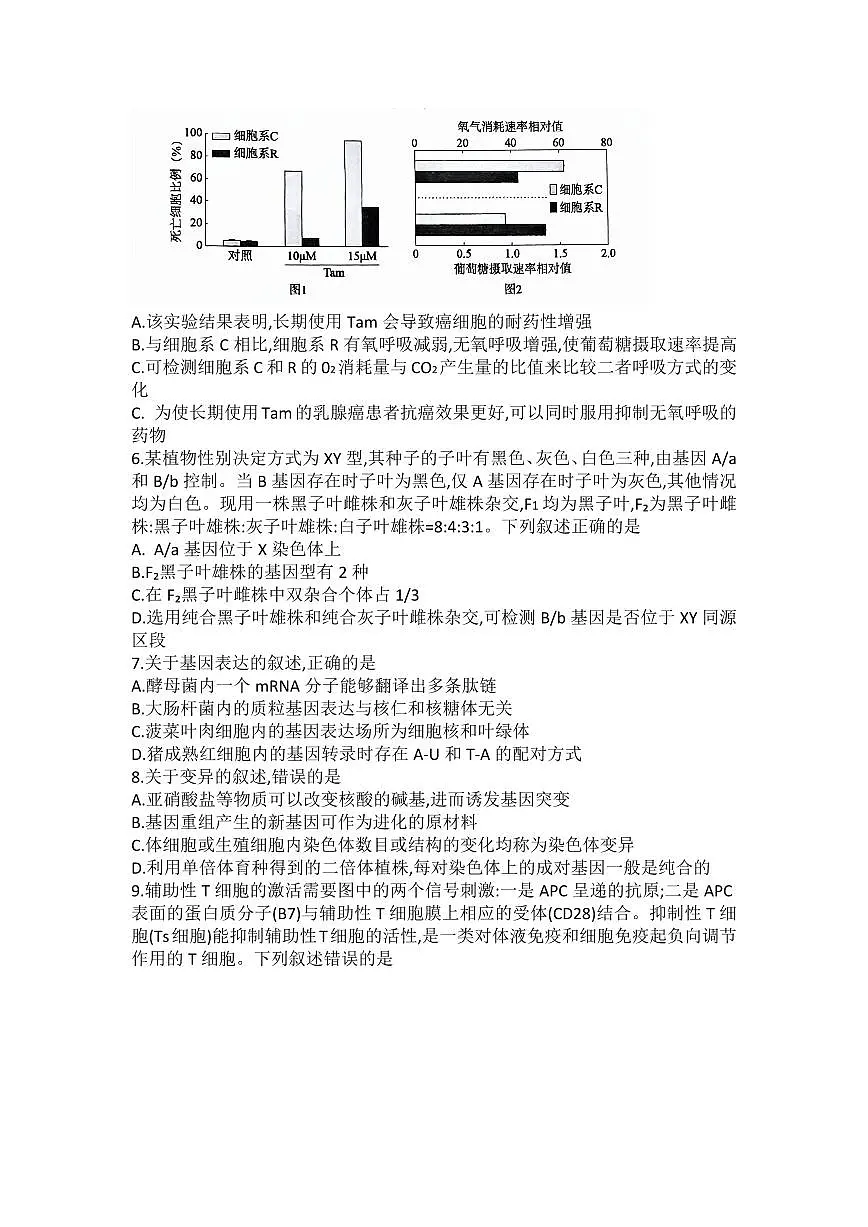 2024届石家庄市高三教学质量检测（三）-生物试卷（含答案）第2页