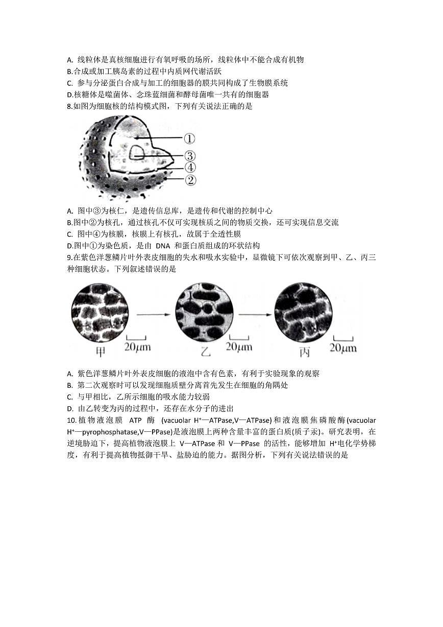 河北省2024届高三一轮复习联考试卷（一）-生物试题（含答案）第2页