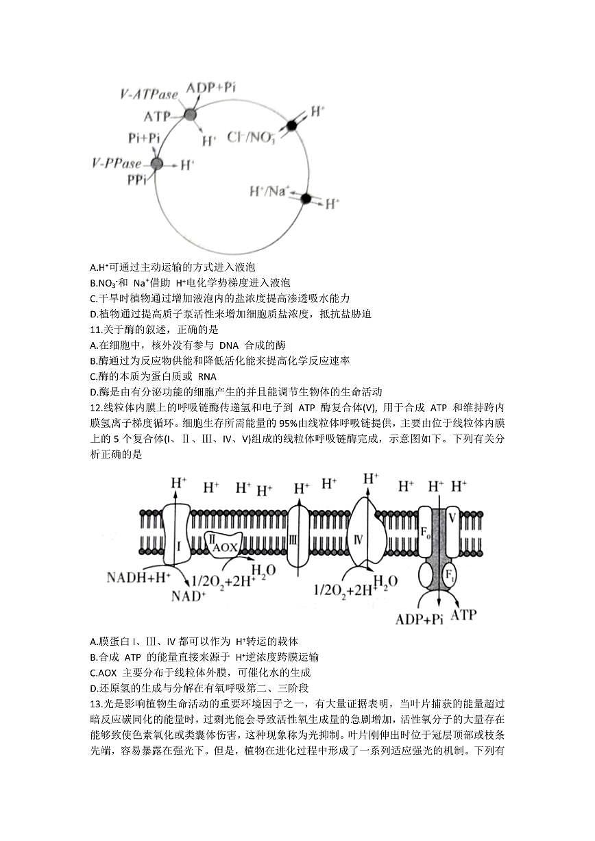 河北省2024届高三一轮复习联考试卷（一）-生物试题（含答案）第3页