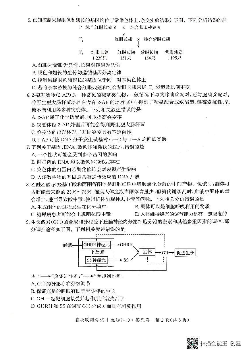 2024届河北省高三上学期省级联测考试-生物试题（含答案）第2页