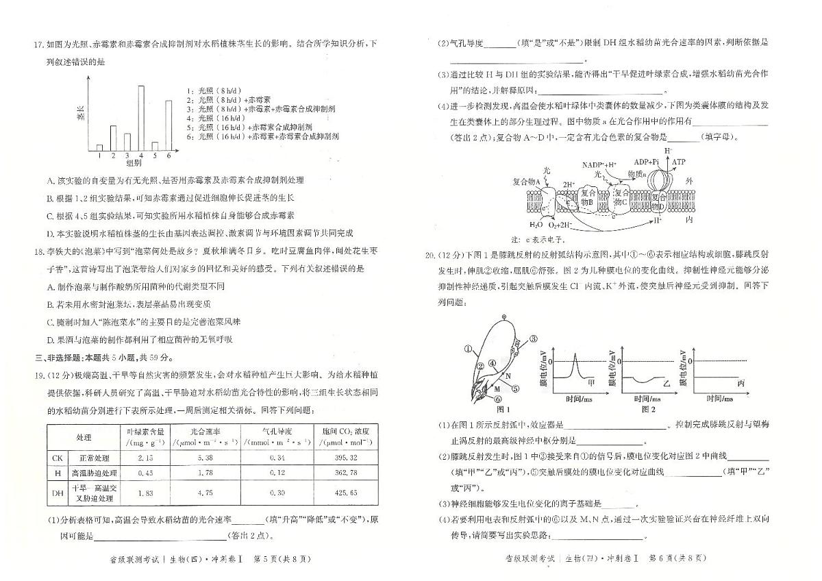 2024届河北省高三下学期省级联测考试（四）-生物（含答案）第3页