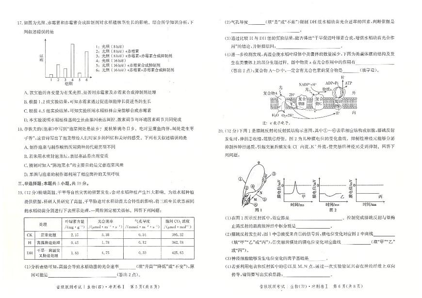 2024届河北省高三下学期省级联测考试（四）-生物（含答案）第3页