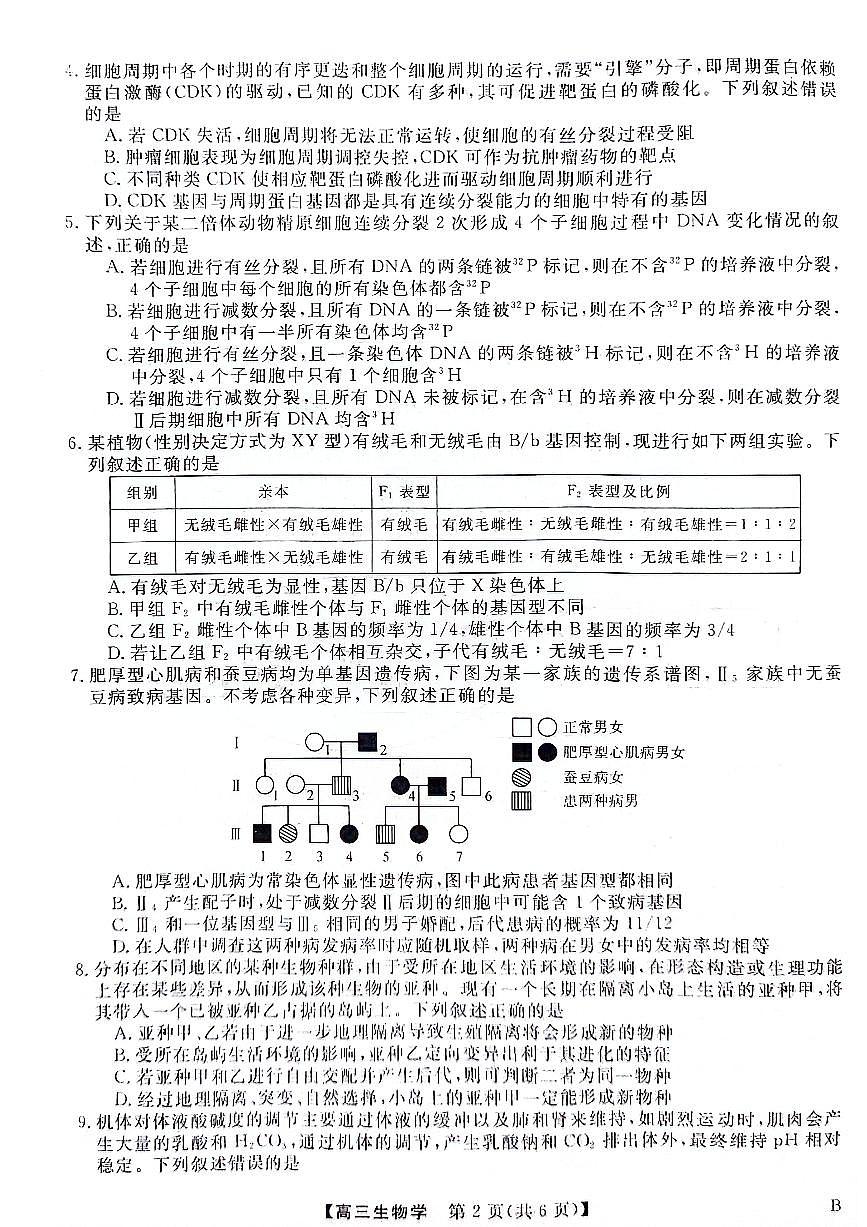 2024届河北省联考高三4月质量检测-生物试卷（含答案）第2页