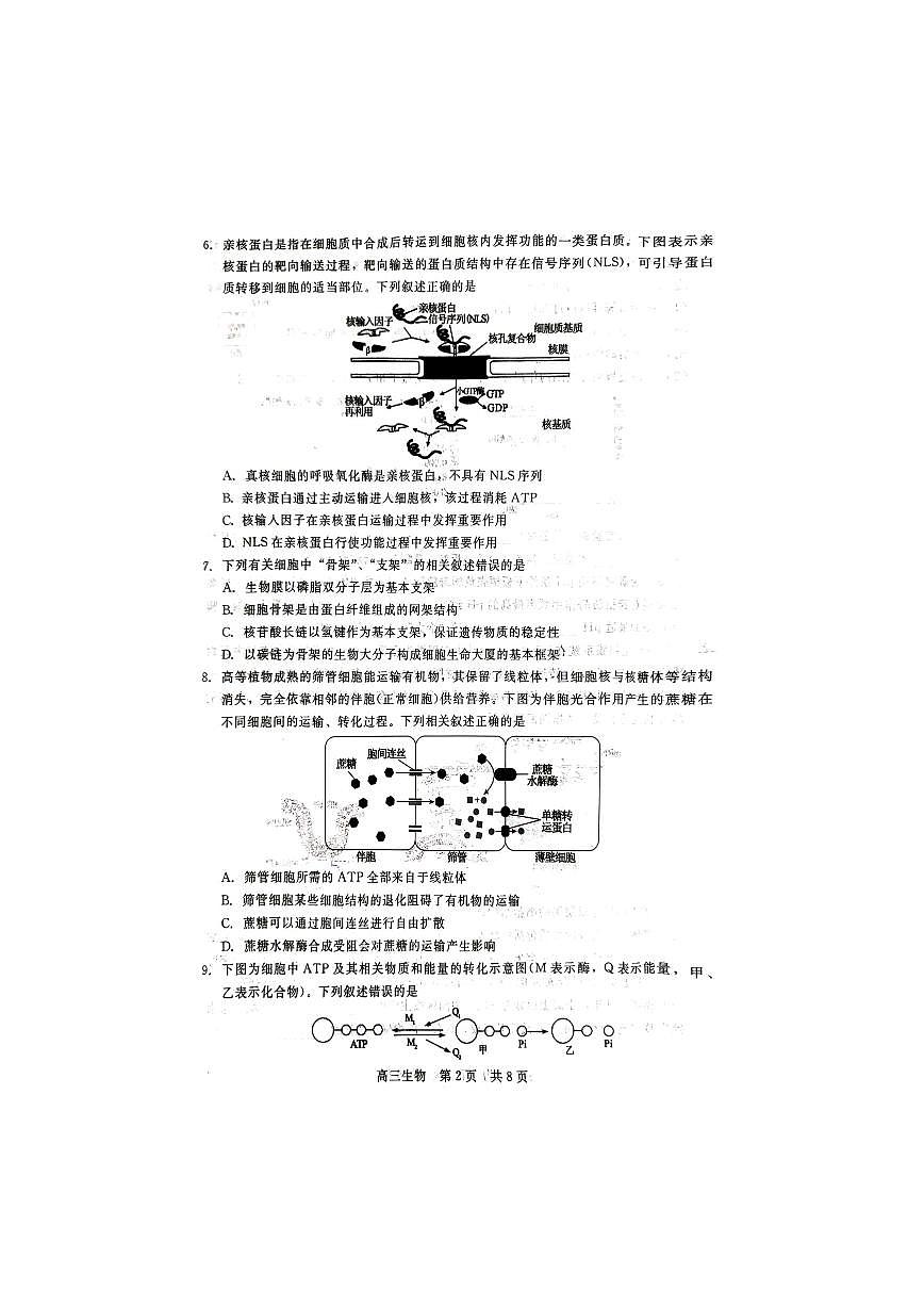 2024届河北新时代教育高三9月阶段测试-生物试题（含答案）第2页