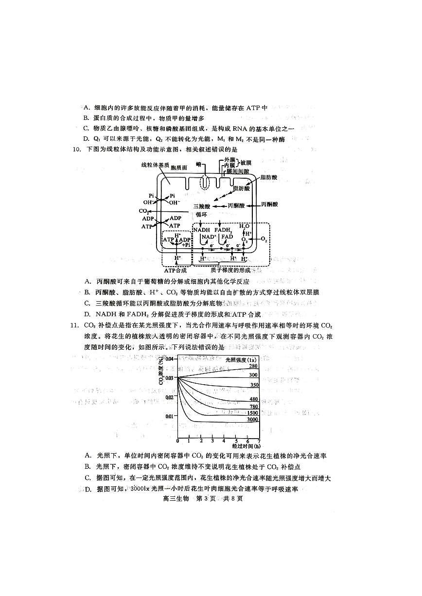 2024届河北新时代教育高三9月阶段测试-生物试题（含答案）第3页
