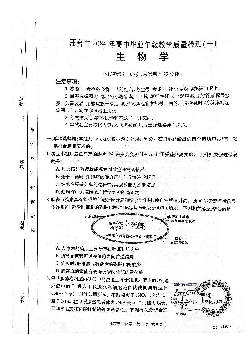 2024届河北省高三第一次教学质检-生物试卷（含答案）第1页