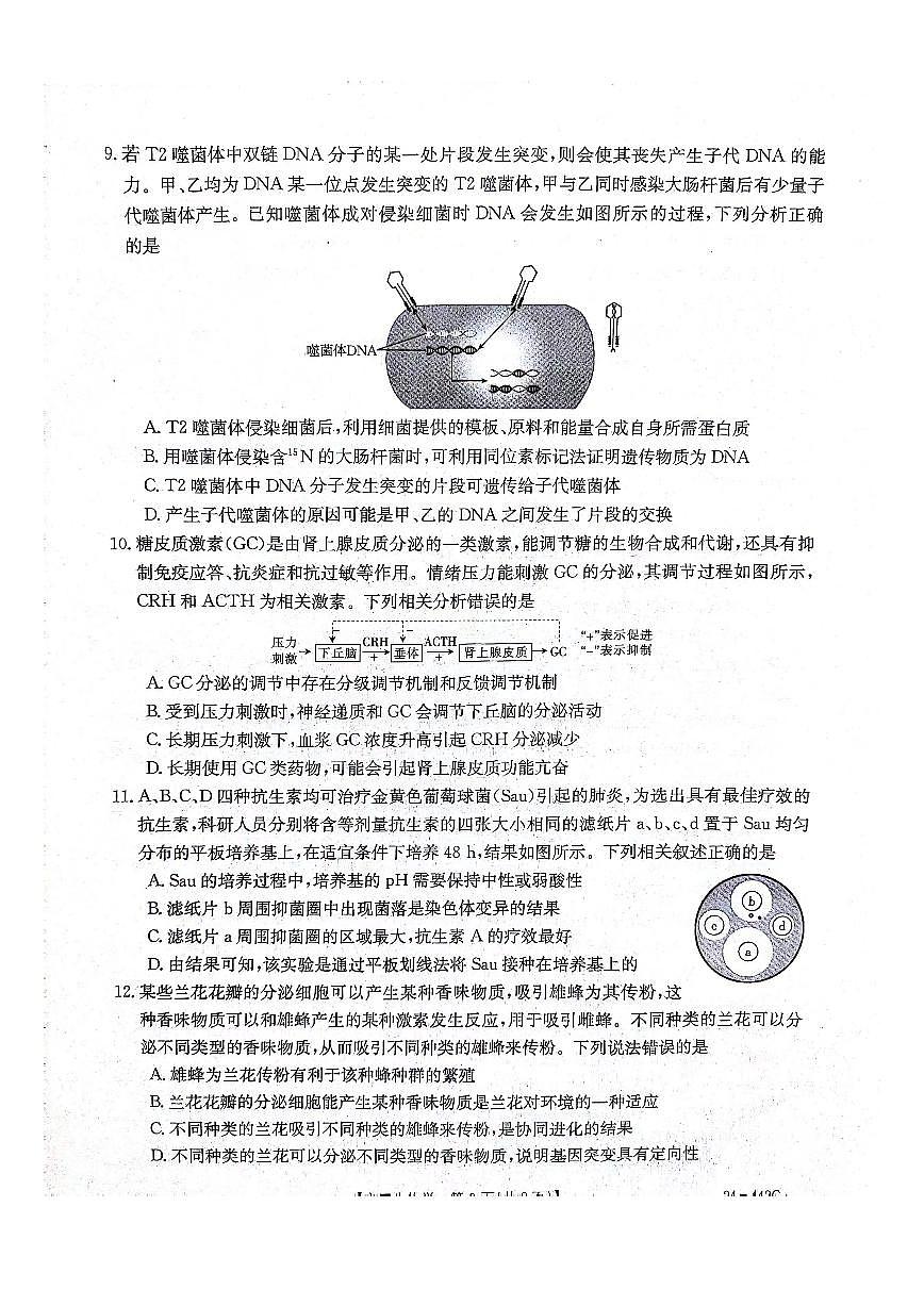 2024届河北省高三第一次教学质检-生物试卷（含答案）第3页
