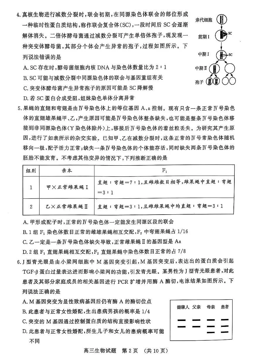 山东省名校考试联盟2024-2025学年高三下学期3月高考模拟考试生物试题 第2页