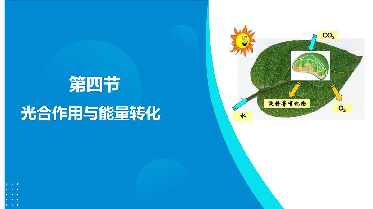 2024-2025人教版(2019)生物必修1《分子与细胞》课件PPT5细胞的能量供应和利用-5.4光合作用与能量转化第5页