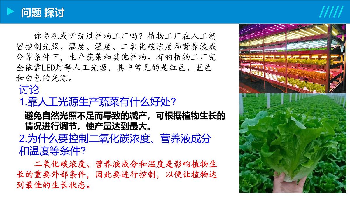 2024-2025人教版(2019)生物必修1《分子与细胞》课件PPT5细胞的能量供应和利用-5.4光合作用与能量转化第7页