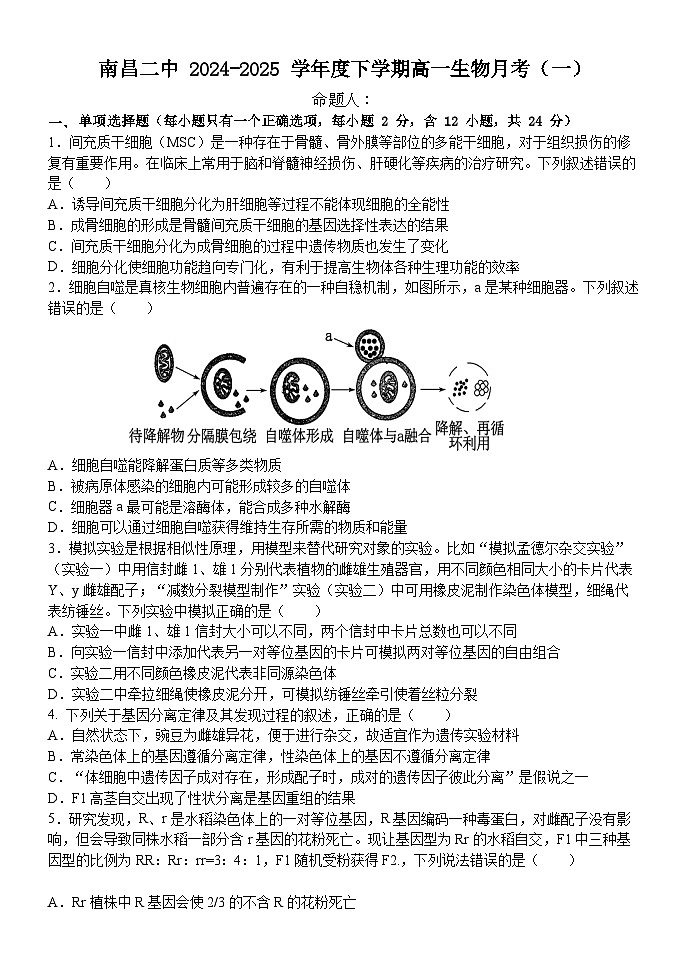 江西省南昌市第二中学2024-2025学年高一下学期3月月考生物试题（Word版附答案）第1页